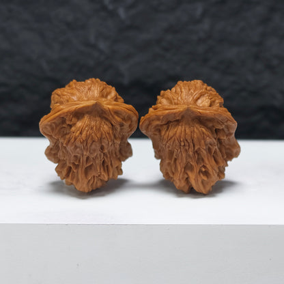 "Dolphin" Hai Tun YX-E-181929 Collector Wenwan Walnuts Pair | 32.0mm x 36.0mm | YX-E-181929