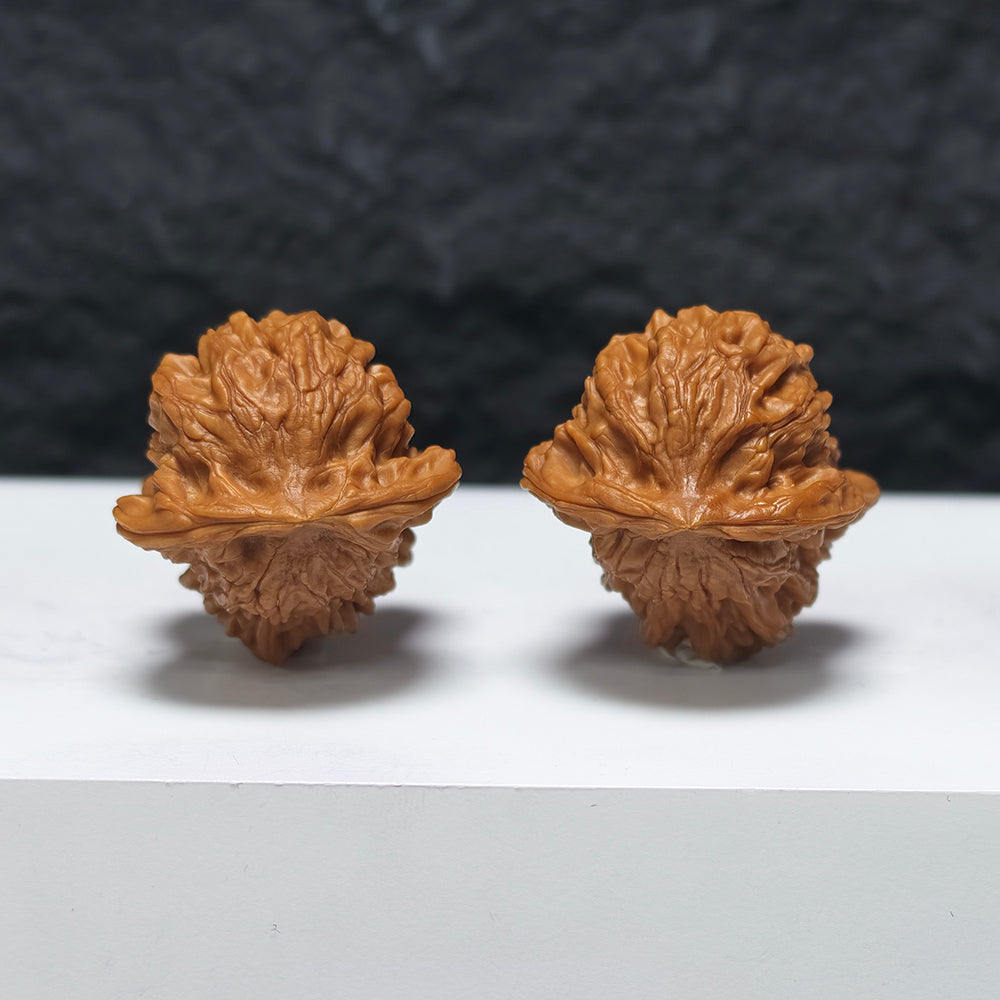 "Dolphin" Hai Tun YX-E-181929 Collector Wenwan Walnuts Pair | 32.0mm x 36.0mm | YX-E-181929