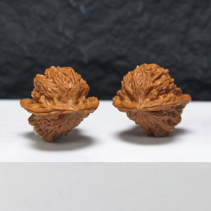 "Dolphin" Hai Tun YX-E-181929 Collector Wenwan Walnuts Pair | 32.0mm x 36.0mm | YX-E-181929