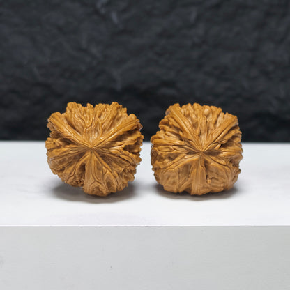 "Petite White Lion Head Owl" Xiu Zhen Bai Shi Zi Mao Tou Ying YX-E-184932 Collector Wenwan Walnuts Pair | 30.0mm x 31.0mm | YX-E-184932