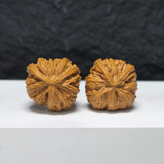 "Petite White Lion Head Owl" Xiu Zhen Bai Shi Zi Mao Tou Ying YX-E-184932 Collector Wenwan Walnuts Pair | 30.0mm x 31.0mm | YX-E-184932
