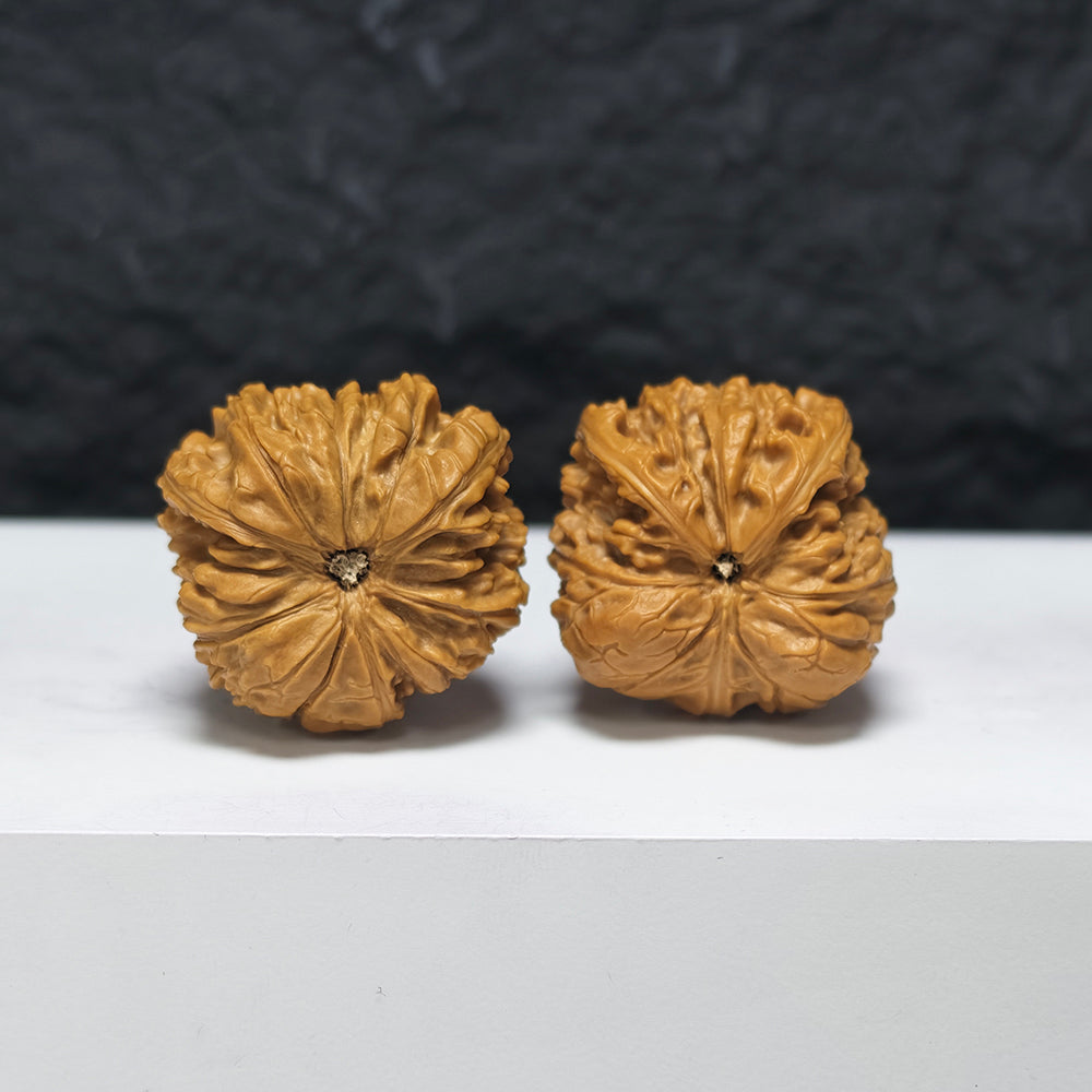 "Petite White Lion Head Owl" Xiu Zhen Bai Shi Zi Mao Tou Ying YX-E-184932 Collector Wenwan Walnuts Pair | 30.0mm x 31.0mm | YX-E-184932