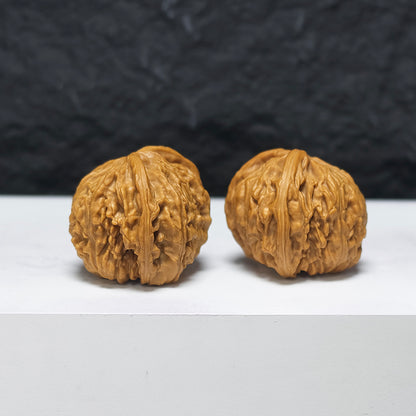 "Petite White Lion Head Owl" Xiu Zhen Bai Shi Zi Mao Tou Ying YX-E-184932 Collector Wenwan Walnuts Pair | 30.0mm x 31.0mm | YX-E-184932