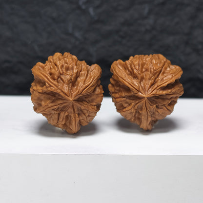 "Imperial Seal Owl Three-Ridge" Yu Xi Mao Tou Ying San Leng YX-E-182930 Collector Wenwan Walnuts Pair | 37.0mm x 37.0mm | YX-E-182930