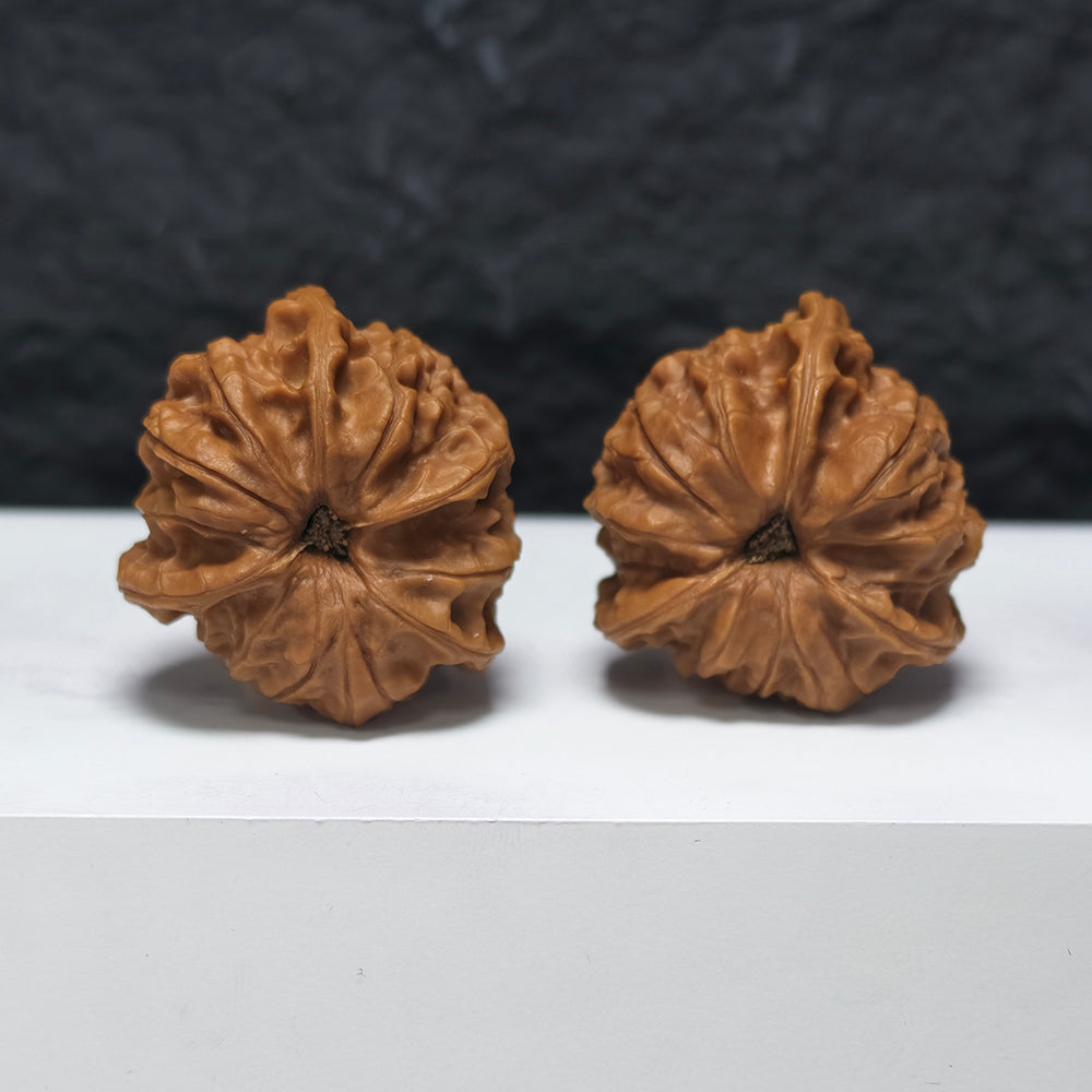 "Imperial Seal Owl Three-Ridge" Yu Xi Mao Tou Ying San Leng YX-E-182930 Collector Wenwan Walnuts Pair | 37.0mm x 37.0mm | YX-E-182930