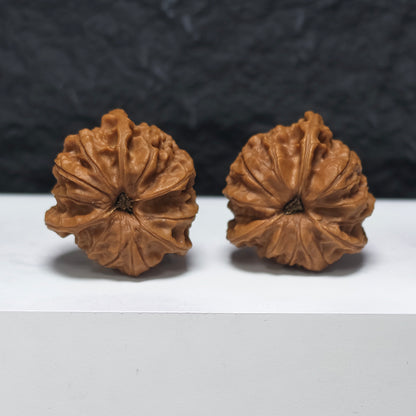"Imperial Seal Owl Three-Ridge" Yu Xi Mao Tou Ying San Leng YX-E-182930 Collector Wenwan Walnuts Pair | 37.0mm x 37.0mm | YX-E-182930