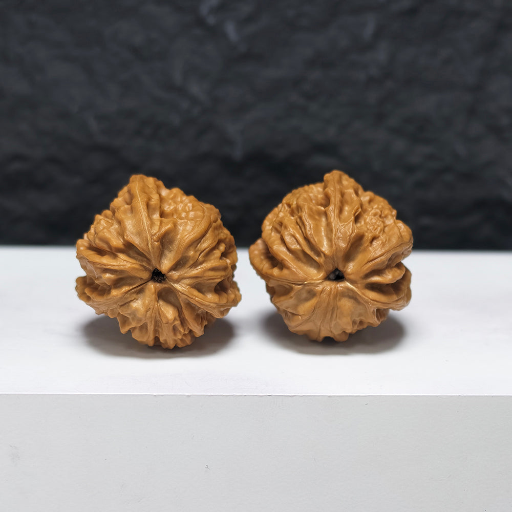 "Petite Wild Three-Ridge" Xiu Zhen Ye Sheng San Leng YX-E-183931 Collector Wenwan Walnuts Pair | 32.0mm x 32.0mm | YX-E-183931
