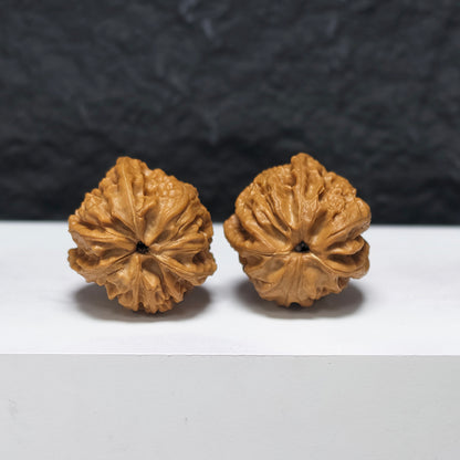 "Petite Wild Three-Ridge" Xiu Zhen Ye Sheng San Leng YX-E-183931 Collector Wenwan Walnuts Pair | 32.0mm x 32.0mm | YX-E-183931
