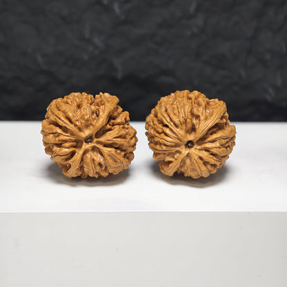 "Seated Buddha" Zuo Fo YX-E-179923 Collector Wenwan Walnuts Pair | 34.0mm x 35.0mm | YX-E-179923