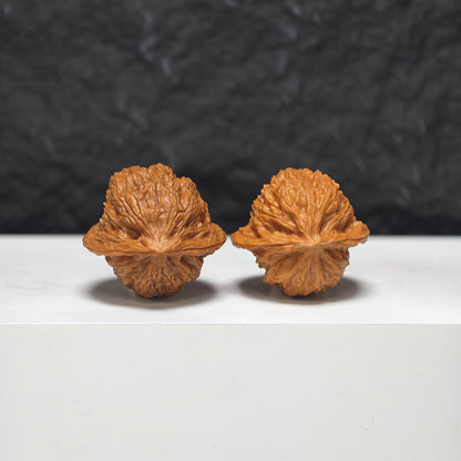 "Petite Beijing Scholar Hat" Xiu Zhen Jing Gong Zi Mao GZM-SS-001926 Masterpiece Wenwan Walnuts Pair | 33.0mm x 30.0mm | GZM-SS-001926
