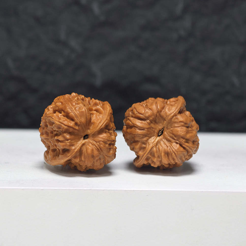 "Petite Official Hat" Xiu Zhen Da Guan Mao GM-SS-010927 Masterpiece Wenwan Walnuts Pair | 27.0mm x 26.0mm | GM-SS-010927