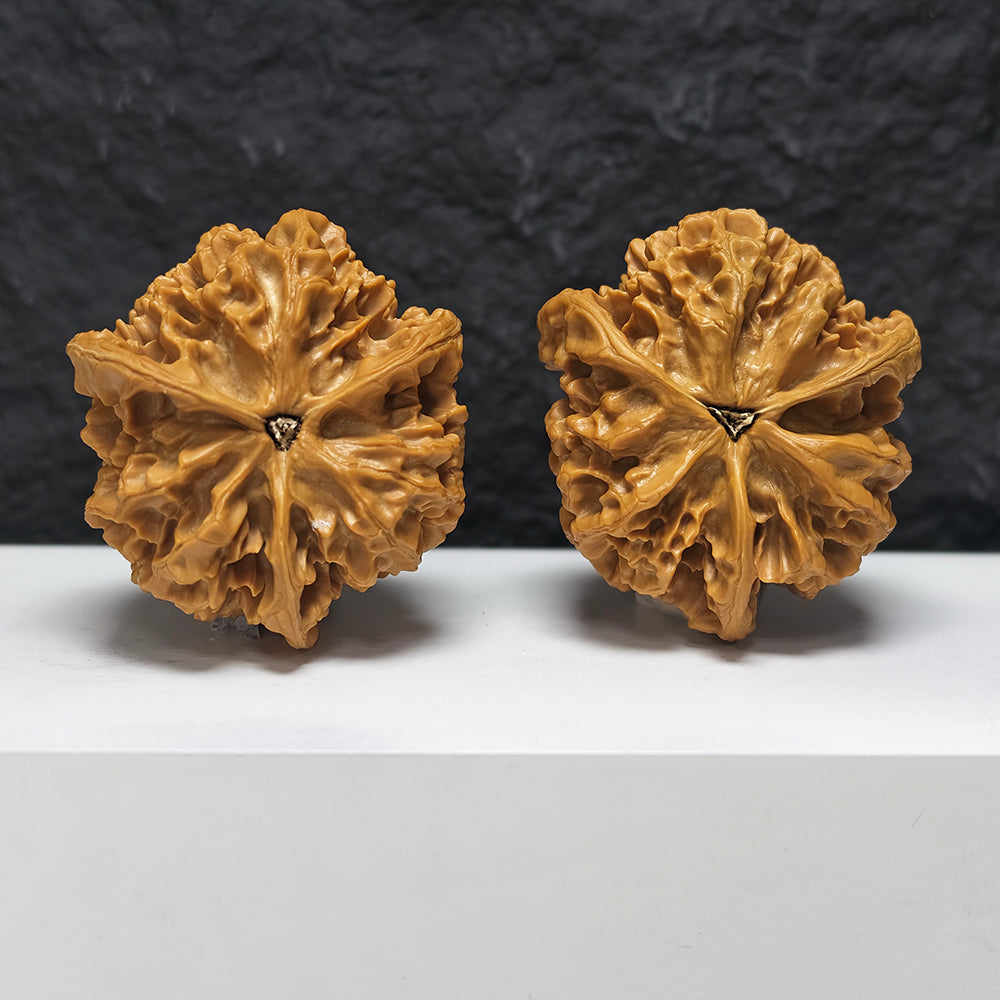 "Imperial Owl Three-Ridge" Di Wang Mao Tou Ying San Leng YX-E-190938 Collector Wenwan Walnuts Pair | 57.0mm x 54.0mm | YX-E-190938