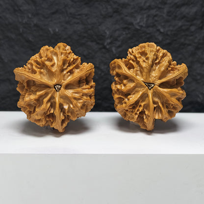 "Imperial Owl Three-Ridge" Di Wang Mao Tou Ying San Leng YX-E-190938 Collector Wenwan Walnuts Pair | 57.0mm x 54.0mm | YX-E-190938