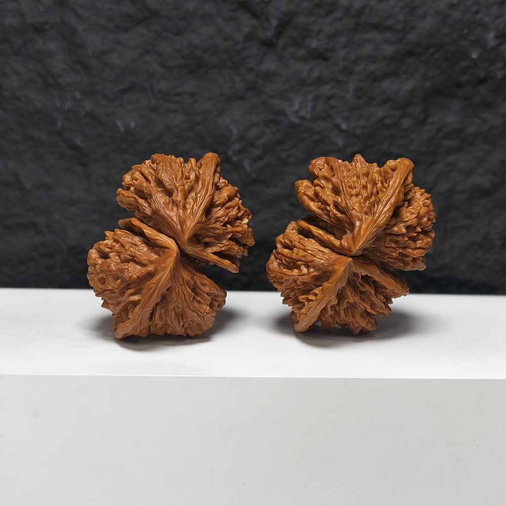 "Official Hat Four-Ridge Horseshoe Conjoined" Da Guan Mao Si Leng Ma Ti Lian Ti YX-E-187935 Collector Wenwan Walnuts Pair | 64.0mm x 46.0mm | YX-E-187935