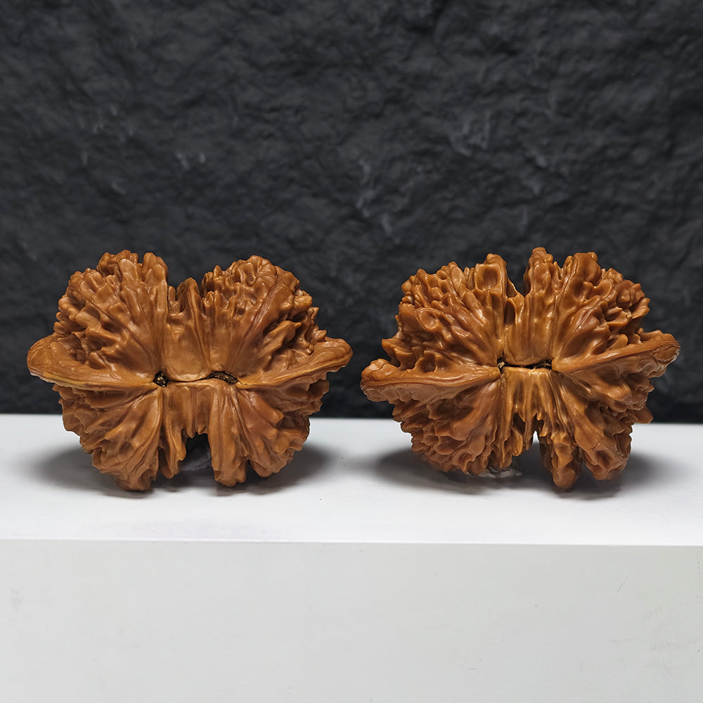 "Official Hat Four-Ridge Horseshoe Conjoined" Da Guan Mao Si Leng Ma Ti Lian Ti YX-E-187935 Collector Wenwan Walnuts Pair | 64.0mm x 46.0mm | YX-E-187935