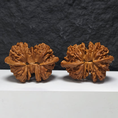 "Official Hat Four-Ridge Horseshoe Conjoined" Da Guan Mao Si Leng Ma Ti Lian Ti YX-E-187935 Collector Wenwan Walnuts Pair | 64.0mm x 46.0mm | YX-E-187935