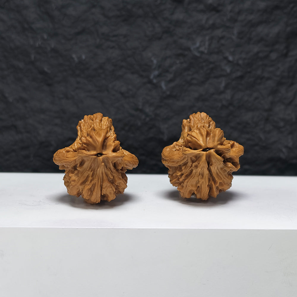 "Tiger Head Bird" Hu Tou Xiao Niao YX-E-188936 Collector Wenwan Walnuts Pair | 38.0mm x 41.0mm | YX-E-188936
