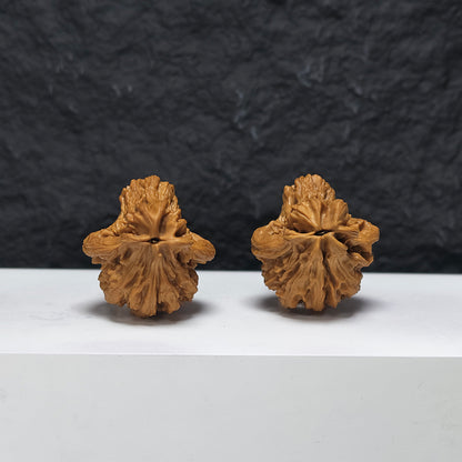"Tiger Head Bird" Hu Tou Xiao Niao YX-E-188936 Collector Wenwan Walnuts Pair | 38.0mm x 41.0mm | YX-E-188936