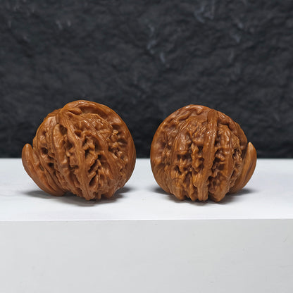 "White Lion Head Rhino Horn Looking at the Moon Three-Ridge" San Leng Xi Niu Jiao Bai Shi Zi (Xi Niu Wang Yue) YX-E-121825 Collector Wenwan Walnuts Pair | 42.0mm x 43.0mm | YX-E-121825