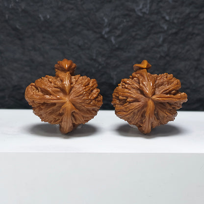 "White Lion Head Rhino Horn Looking at the Moon Three-Ridge" San Leng Xi Niu Jiao Bai Shi Zi (Xi Niu Wang Yue) YX-E-121825 Collector Wenwan Walnuts Pair | 42.0mm x 43.0mm | YX-E-121825