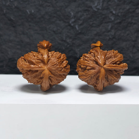"White Lion Head Rhino Horn Looking at the Moon Three-Ridge" San Leng Xi Niu Jiao Bai Shi Zi (Xi Niu Wang Yue) YX-E-121825 Collector Wenwan Walnuts Pair | 42.0mm x 43.0mm | YX-E-121825