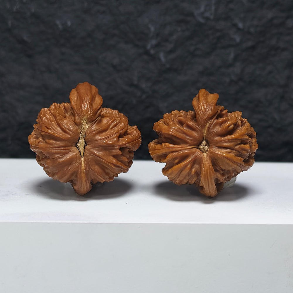 "White Lion Head Rhino Horn Looking at the Moon Three-Ridge" San Leng Xi Niu Jiao Bai Shi Zi (Xi Niu Wang Yue) YX-E-121825 Collector Wenwan Walnuts Pair | 42.0mm x 43.0mm | YX-E-121825