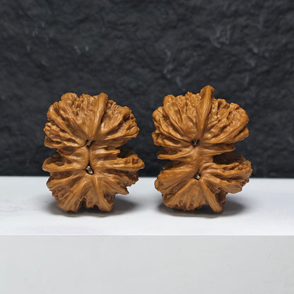 "Wild Wolf Butterfly Conjoined" Ye Lang Hu Die Lian Ti YX-E-191939 Collector Wenwan Walnuts Pair | 51.0mm x 40.0mm | YX-E-191939
