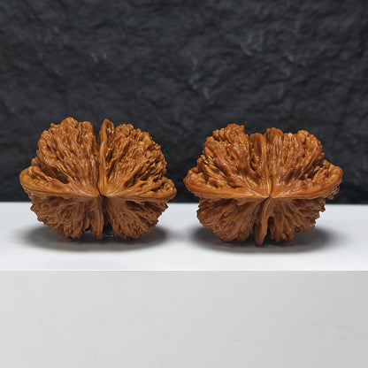 "Dragon Scale Pattern Conjoined Four-Ridge" Long Lin Si Leng Lian Ti YX-E-173877 Collector Wenwan Walnuts Pair | 56.0mm x 42.0mm | YX-E-173877
