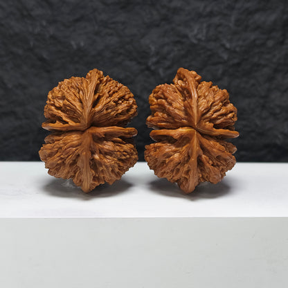 "Dragon Scale Pattern Conjoined Four-Ridge" Long Lin Si Leng Lian Ti YX-E-173877 Collector Wenwan Walnuts Pair | 56.0mm x 42.0mm | YX-E-173877
