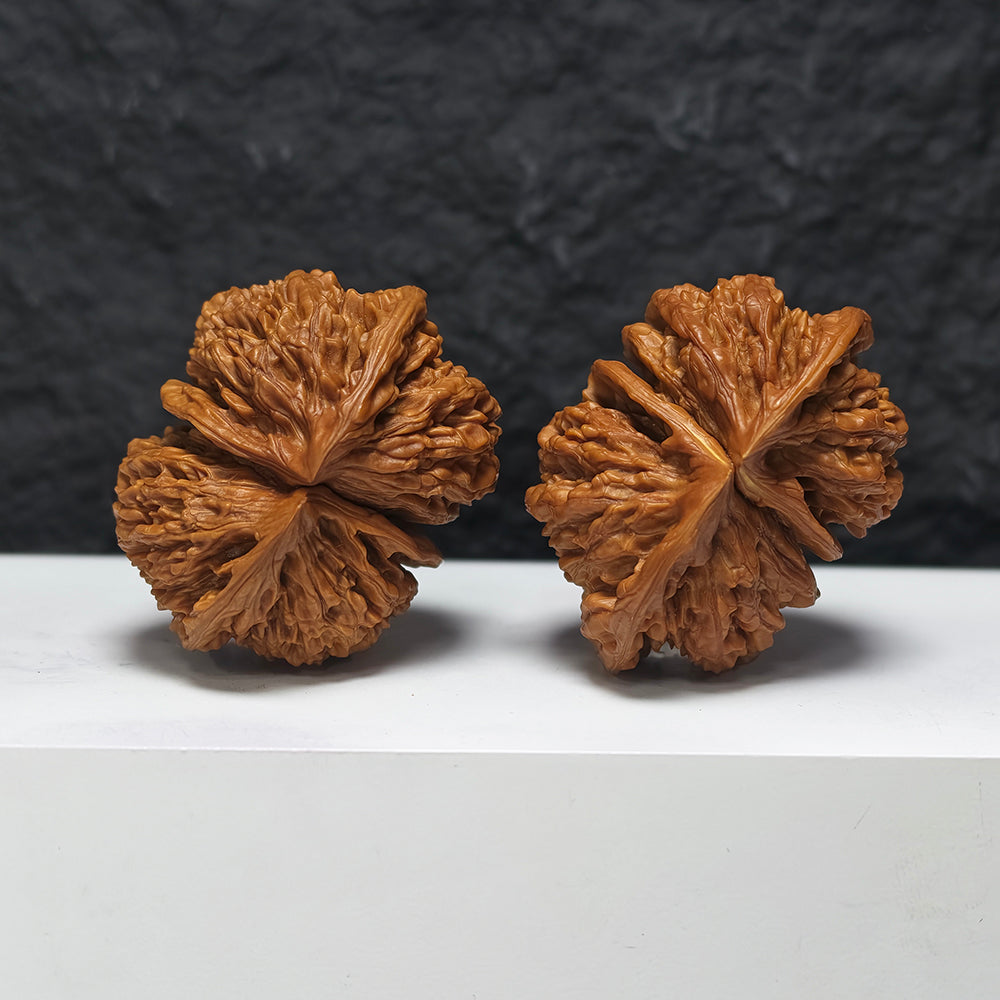 "Dragon Scale Pattern Conjoined Four-Ridge" Long Lin Si Leng Lian Ti YX-E-173877 Collector Wenwan Walnuts Pair | 56.0mm x 42.0mm | YX-E-173877