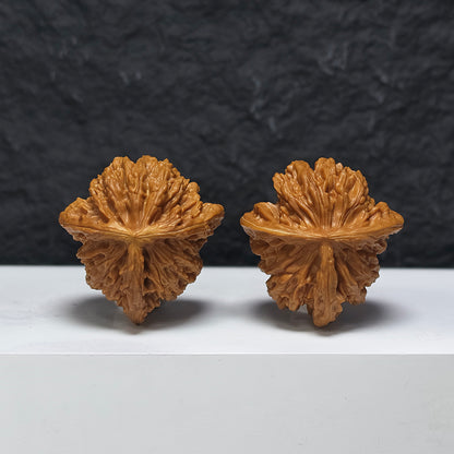 "Xiayunling Three-Ridge Dun" Xia Yun Ling San Leng Ding YX-E-192940 Collector Wenwan Walnuts Pair | 44.0mm x 44.0mm | YX-E-192940