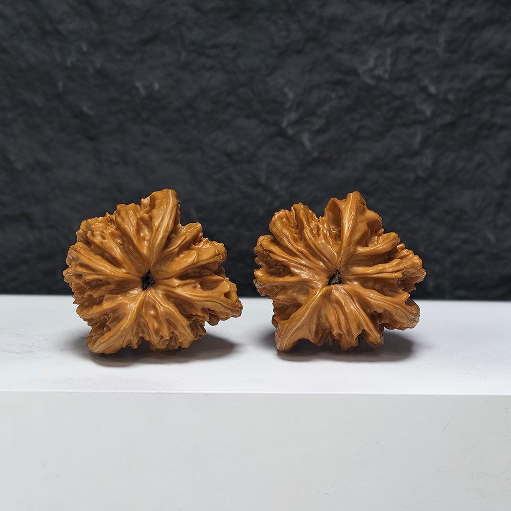 "Xiayunling Three-Ridge Dun" Xia Yun Ling San Leng Ding YX-E-192940 Collector Wenwan Walnuts Pair | 44.0mm x 44.0mm | YX-E-192940
