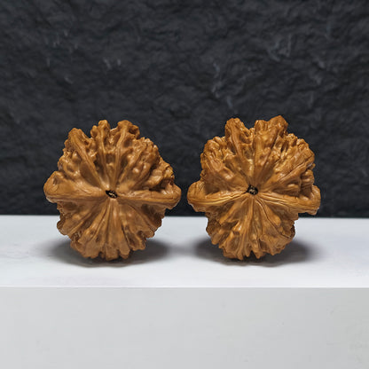 "Kirin Scale Dragon Head" Qi Lin Wen Long Shou YX-E-193941 Collector Wenwan Walnuts Pair | 45.0mm x 49.0mm | YX-E-193941