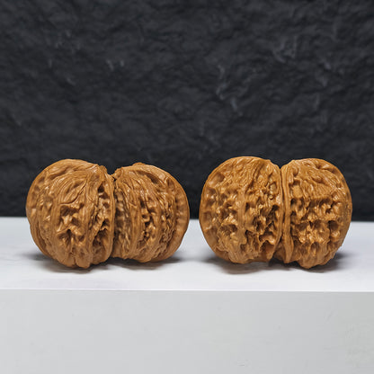"White Lion Head Ox Horn Twin-Vent Conjoined" Bai Shi Zi Niu Jiao Shuang Qi Men YX-E-189937 Collector Wenwan Walnuts Pair | 53.0mm x 38.0mm | YX-E-189937