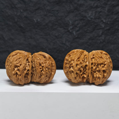 "White Lion Head Ox Horn Twin-Vent Conjoined" Bai Shi Zi Niu Jiao Shuang Qi Men YX-E-189937 Collector Wenwan Walnuts Pair | 53.0mm x 38.0mm | YX-E-189937