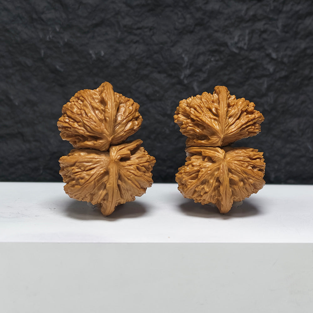 "White Lion Head Ox Horn Twin-Vent Conjoined" Bai Shi Zi Niu Jiao Shuang Qi Men YX-E-189937 Collector Wenwan Walnuts Pair | 53.0mm x 38.0mm | YX-E-189937