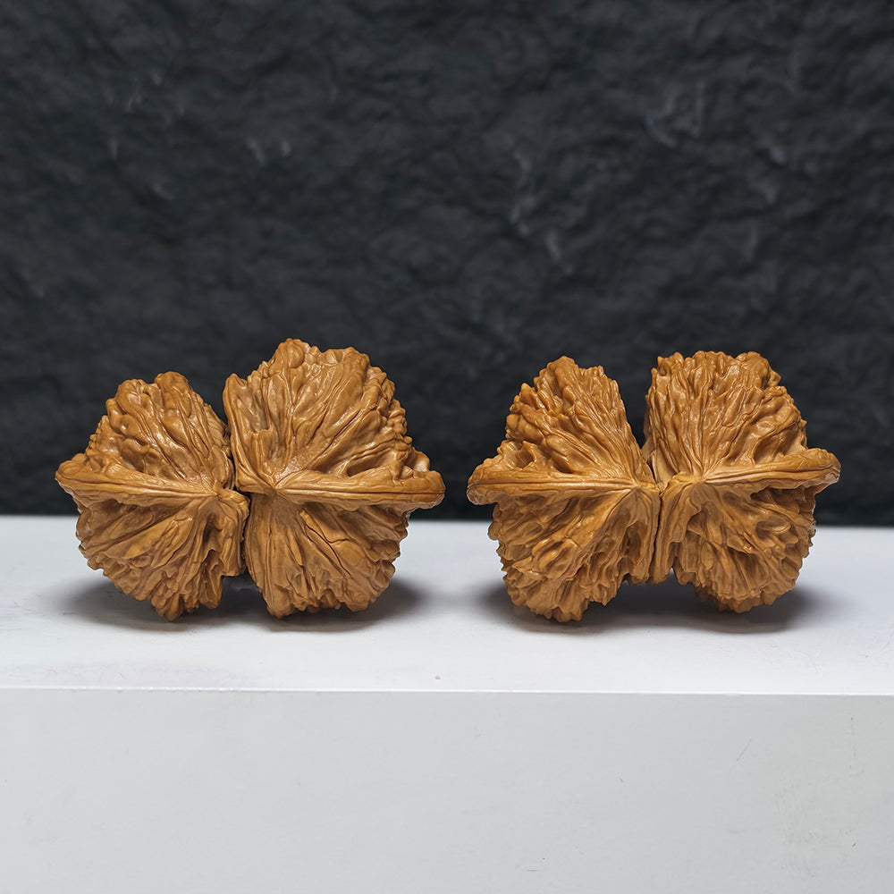 "White Lion Head Ox Horn Twin-Vent Conjoined" Bai Shi Zi Niu Jiao Shuang Qi Men YX-E-189937 Collector Wenwan Walnuts Pair | 53.0mm x 38.0mm | YX-E-189937
