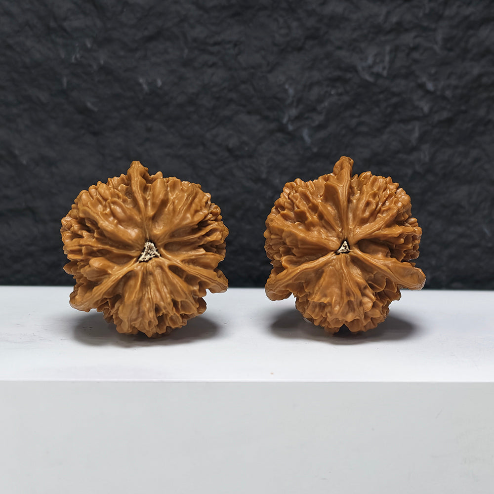 "Dragon Scale Pattern Three-Ridge Mercedes"ng Lin San Leng Ben YX-E-172876 Collector Wenwan Walnuts Pair | 45.0mm x 45.0mm | YX-E-172876