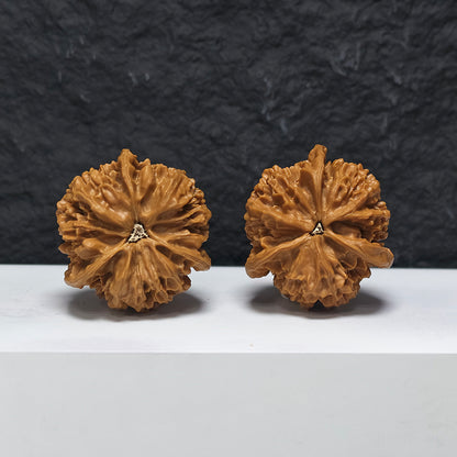"Dragon Scale Pattern Three-Ridge Mercedes"ng Lin San Leng Ben YX-E-172876 Collector Wenwan Walnuts Pair | 45.0mm x 45.0mm | YX-E-172876