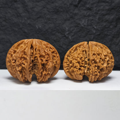 "Kirin Scale Conjoined" Qi Lin Wen Lian Ti YX-E-194942 Collector Wenwan Walnuts Pair | 65.0mm x 52.0mm | YX-E-194942