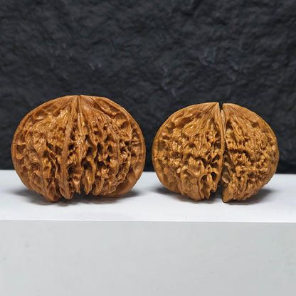 "Kirin Scale Conjoined" Qi Lin Wen Lian Ti YX-E-194942 Collector Wenwan Walnuts Pair | 65.0mm x 52.0mm | YX-E-194942