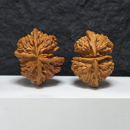 "Kirin Scale Conjoined" Qi Lin Wen Lian Ti YX-E-194942 Collector Wenwan Walnuts Pair | 65.0mm x 52.0mm | YX-E-194942