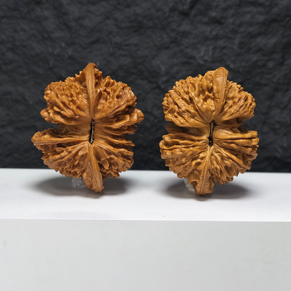 "Kirin Scale Conjoined" Qi Lin Wen Lian Ti YX-E-194942 Collector Wenwan Walnuts Pair | 65.0mm x 52.0mm | YX-E-194942