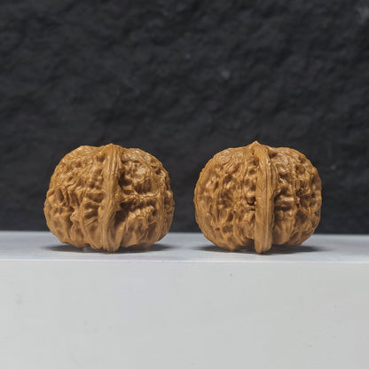 "Spherical White Lion Head" Qiu Xing Bai Shi Zi Collector Wenwan Walnuts Pair | 40.0mm x 40.0mm | BSZ-S-017957