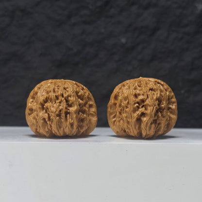 "Spherical White Lion Head" Qiu Xing Bai Shi Zi Collector Wenwan Walnuts Pair | 40.0mm x 40.0mm | BSZ-S-017957