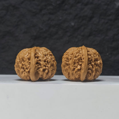 "Spherical White Lion Head" Qiu Xing Bai Shi Zi Collector Wenwan Walnuts Pair | 40.0mm x 40.0mm | BSZ-S-017957