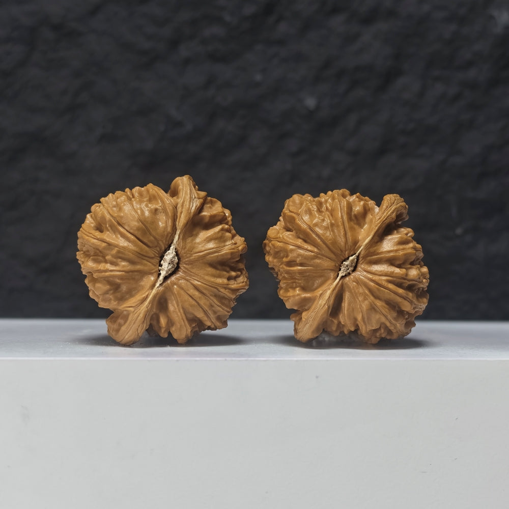 "Spherical White Lion Head" Qiu Xing Bai Shi Zi Collector Wenwan Walnuts Pair | 40.0mm x 40.0mm | BSZ-S-017957