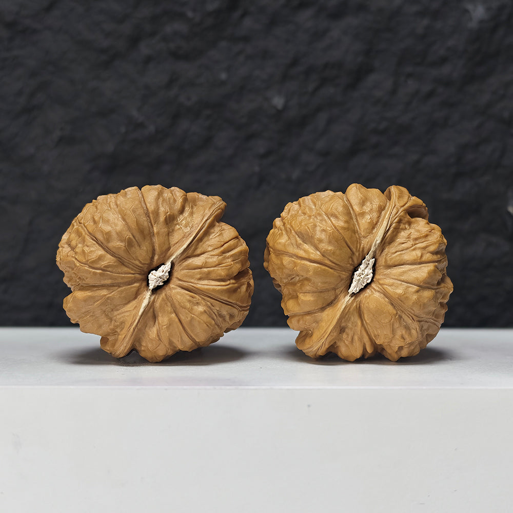 "Pumpkin Dun Lion Head" Nan Gua Dun Collector Wenwan Walnuts Pair | 44.0mm x 45.0mm | SZ-SS-026959