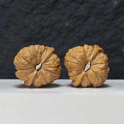 "Pumpkin Dun Lion Head" Nan Gua Dun Collector Wenwan Walnuts Pair | 44.0mm x 45.0mm | SZ-SS-026959