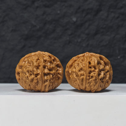 "Little Pumpkin Lion Head" Xiao Nan Gua Lion Head Collector Wenwan Walnuts Pair | 38.0mm x 39.0mm | SZ-S-041951